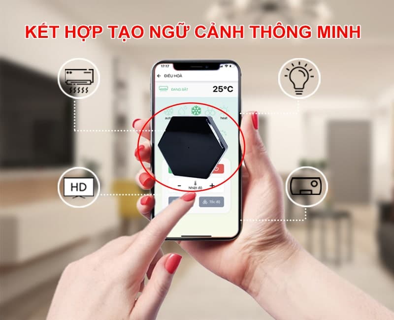 tao-ngu-canh-800x650-min